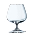 DEGUSTATION 41CL BRANDY GLASS 10070 - ARCOROC - 026102626658