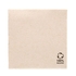 GUARDANAPO TISSUE DOUBLE POINT 20X20 PACK 2400UN - GARCIA DE POU - 18420499191093