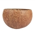 TAÇA NATURAL COCO 350ML Ø9.5XH8CM 260.70 - GARCIA DE POU - 8420499260709