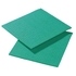 PANO TIPONGE 29 VERDE 310X300MM C/10 (CX100) - 697482000293