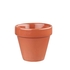BIT ON THE SIDE PAPRIKA PLANT POT 48.3CL BCPAPL171 - CHURCHILL - 5034414384017