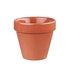 BIT ON THE SIDE PAPRIKA PLANT POT 11.4CL BCPAPL41 - CHURCHILL - 5034414384031