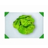 TABUA BRANCA 404X304X24MM CANTOS VERDES 07102 - ARAVEN - 8411777071025