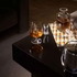 NEWPORT BALDE DE GELO INOX COM TAMPA - DEGRENNE - 3057191841810