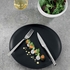 GUEST MIROIR DESSERT KNIFE SOLID HANDLE SERRATED - DEGRENNE - 3057192106291