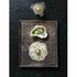 SOLSTICE PRATO COSMOS GOLD 21X17.5CM   - REVOL - 3198246523791