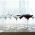COPO HYBRID BOURGOGNE 84CL 4328000 - SPIEGELAU - 4003322251934