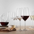 HYBRID WINE GLASS 55CL - SPIEGELAU - 4003322270553