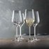 COPO CHAMPAGNE 31CL LIFESTYLE 4458029 - SPIEGELAU - 4003322293460
