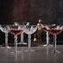 TAÇA CHAMPANHE PALAIS 20CL 103323 - NACHTMANN - 4003762247436