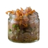 GLASS JAR FOR TASTING 90ML - PALMA & PALMA - 727875223227