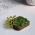 MOLDE SILICONE BONSAI 8 CAVIDADES 30X20CM - PAVONI - 8029249385481