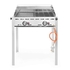 GREEN FIRE WITH 2 BURNERS 74X61.2XH82.5CM - HENDI - 8711369149508