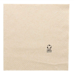 GUARDANAPO TISSUE 2 FOLHAS 20X20CM PACK 4800UN