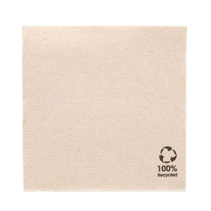 TISSUE DOUBLE POINT NAPKIN 20X20 PACK 2400UN