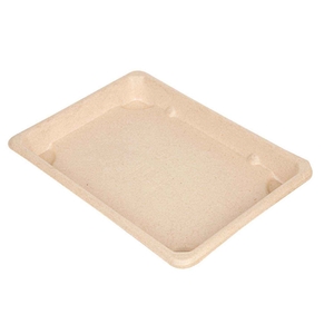 BIONIC SUSHI BOX 18.5X13X1.5CM PACK 50UN
