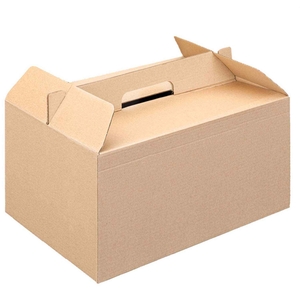 CAIXA LUNCH BOX THE PACK KRAFT 235.28 C/100