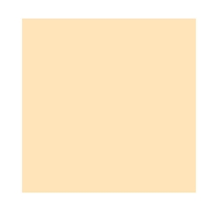 DUNILIN CHAMPAGNE NAPKIN 48CM  PACK 400UN