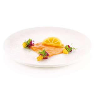 MOLDE SILICONE 34X18CM 10 LIMONE 36.371.36.0065