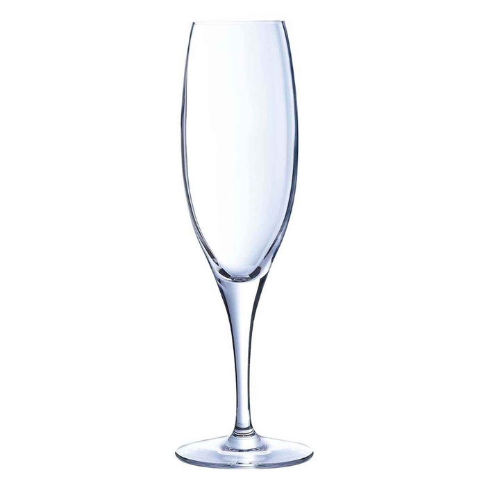 SENSATION EXALT 19CL CHAMPAGNE GLASS 9227700 - ARCOROC - 883314118568