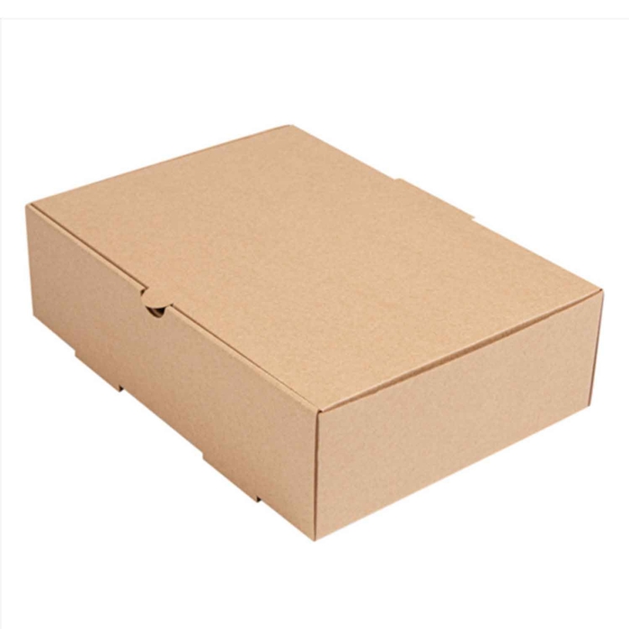 CAIXA LUNCH BOX THE PACK 26X18X7CM 235.29 C/100 - GARCIA DE POU - 8420499235295