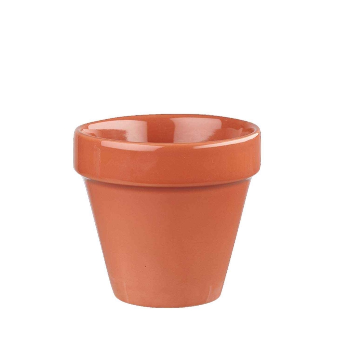 BIT ON THE SIDE PAPRIKA PLANT POT 48.3CL BCPAPL171 - CHURCHILL - 5034414384017