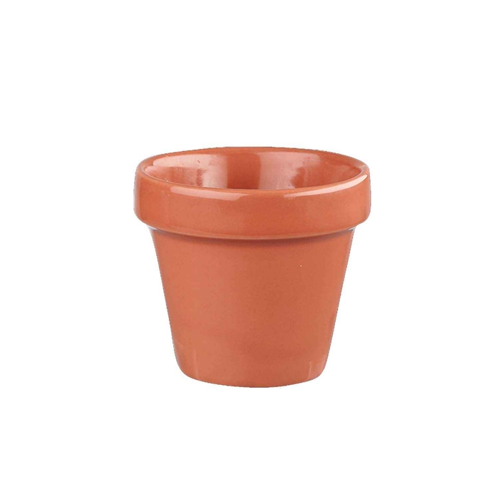 BIT ON THE SIDE PAPRIKA PLANT POT 34CL BCPAPL121 - CHURCHILL - 5034414384048