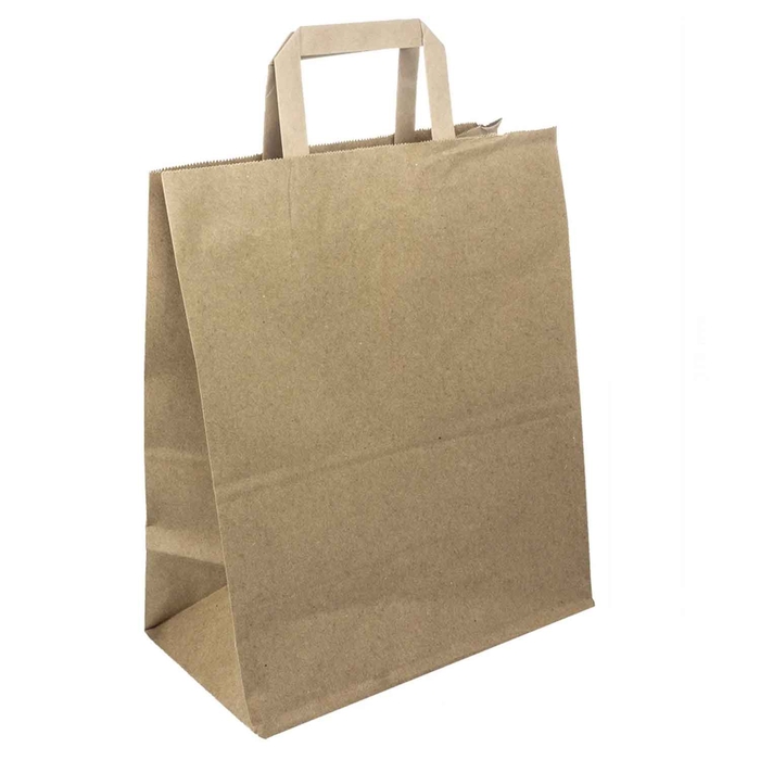 SACO KRAFT ASA M 260X170X250MM SGPBMED05004 C/250 - PALMA & PALMA - 40116788117668