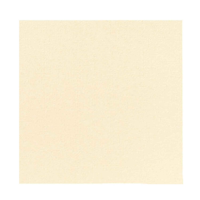 DUNISOFT VANILLA NAPKIN 40X40 PACK 720UN - DUNI - 07321031172782