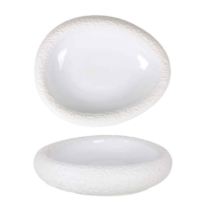 TAÇA OVAL CANTABRO 26X21XH5.5CM P997040 - PALMA & PALMA - 8428141335065