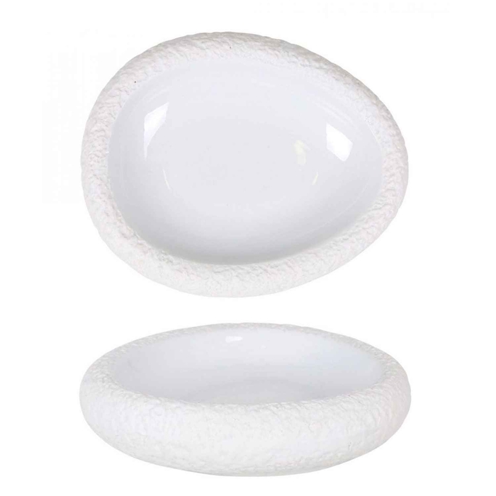TAÇA OVAL CANTABRO 20X16XH4.5CM P997041 - PALMA & PALMA - 8428141335072