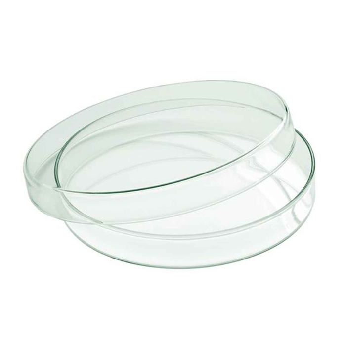 GLASS BOWL W/LID Ø18CM - PLAYGROUND - 4029793338806