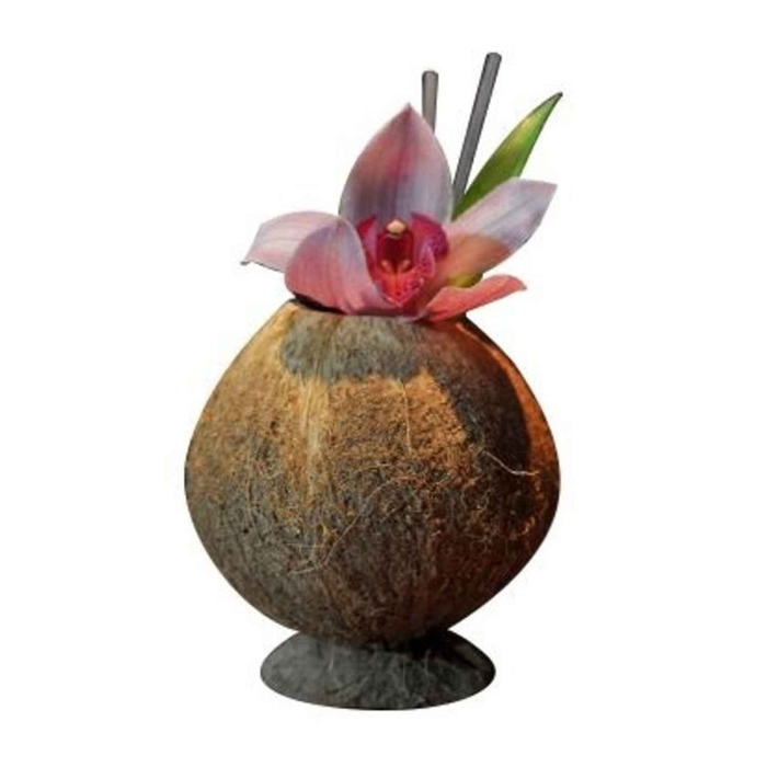 TAÇA COCO NATURAL 500ML C/BASE 9X13CM TIC0913 - BAR PROFESSIONAL - 08718215103646