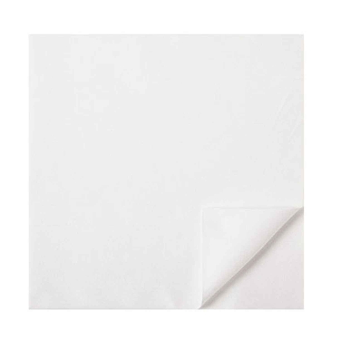 GUARD BIO 45X45CM TINTA UNITA BR 4550000 C/500 - ARTE DE LA MESA - 2200124647