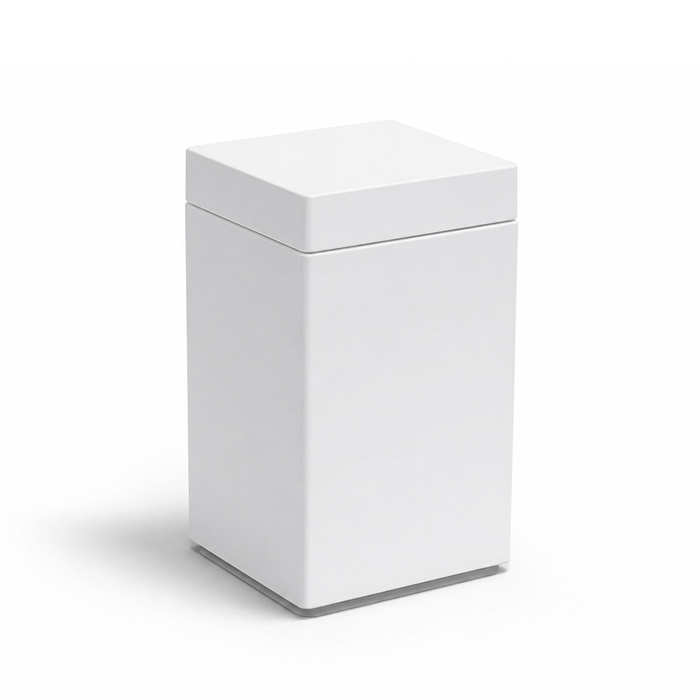 BOX WITH LID SNOW NEW YORK 6.5X6.5XH11.5CM - ROOM 360 - 2960018922